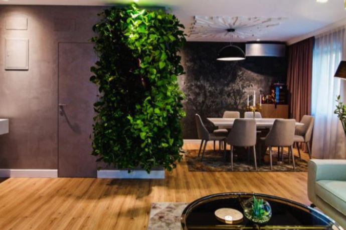 javascript slideshow